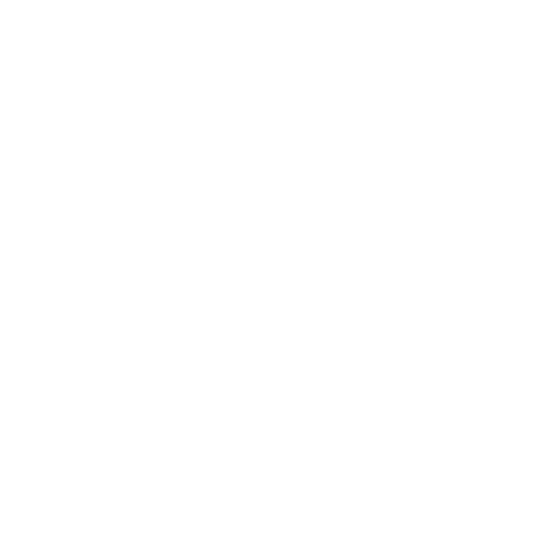 Valeurs 500x500 blanc